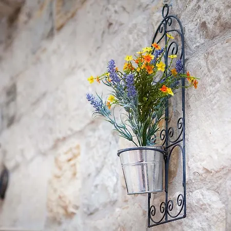 Dujam Without Terrace