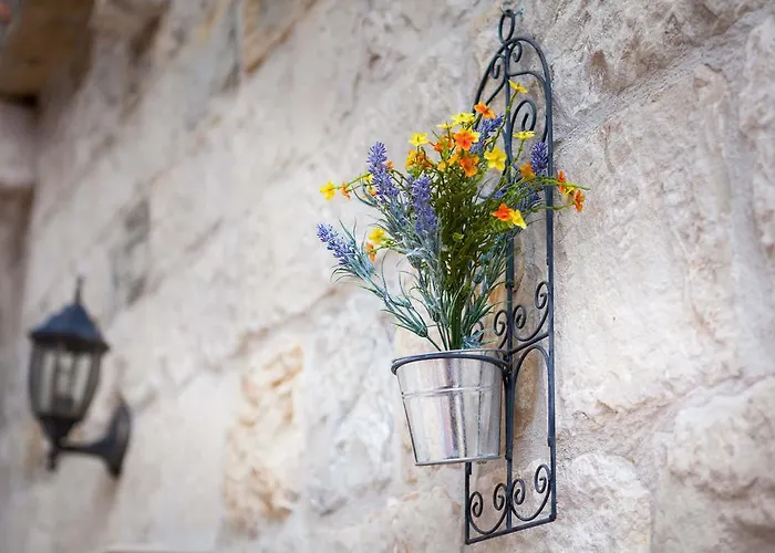 Dujam Without Terrace